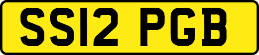 SS12PGB