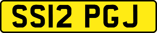 SS12PGJ
