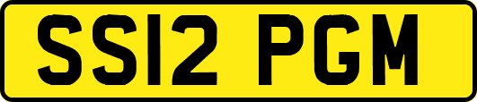 SS12PGM