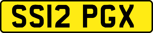 SS12PGX