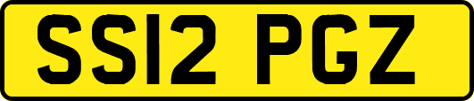 SS12PGZ