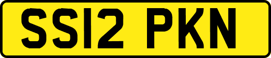 SS12PKN