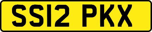 SS12PKX