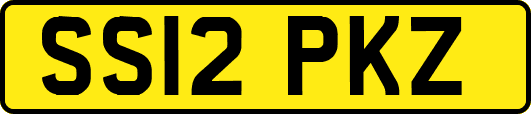 SS12PKZ
