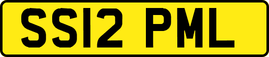 SS12PML