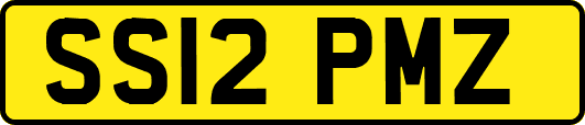 SS12PMZ