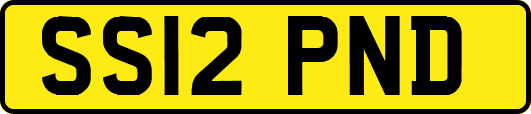 SS12PND