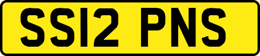 SS12PNS