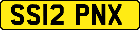 SS12PNX