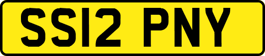 SS12PNY