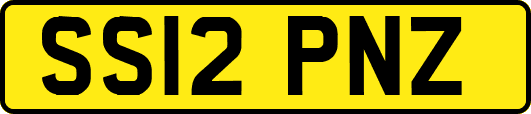 SS12PNZ