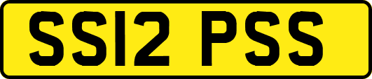 SS12PSS