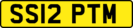 SS12PTM