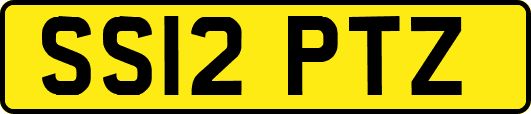 SS12PTZ