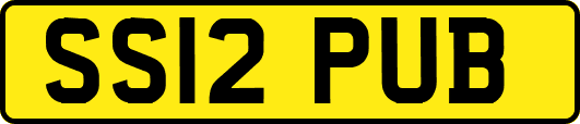 SS12PUB