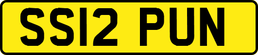 SS12PUN