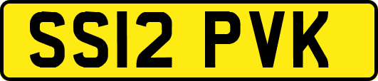 SS12PVK