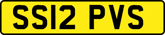 SS12PVS