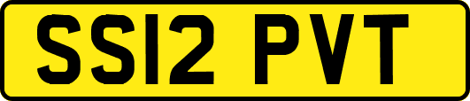 SS12PVT