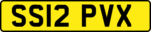 SS12PVX