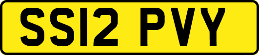 SS12PVY