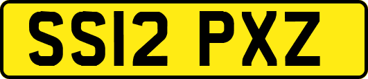 SS12PXZ