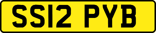 SS12PYB
