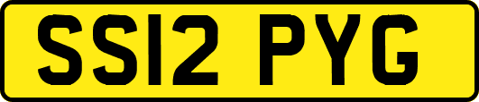 SS12PYG