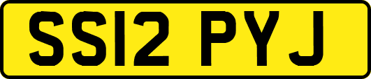 SS12PYJ
