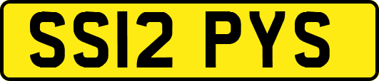 SS12PYS
