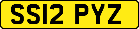SS12PYZ