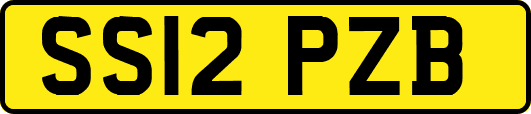 SS12PZB