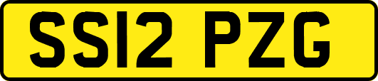 SS12PZG