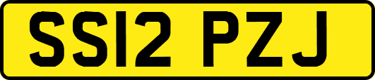SS12PZJ
