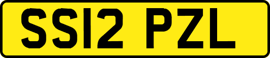 SS12PZL