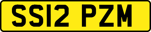 SS12PZM