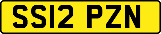 SS12PZN