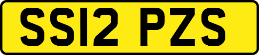 SS12PZS
