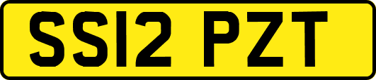 SS12PZT