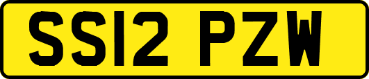 SS12PZW