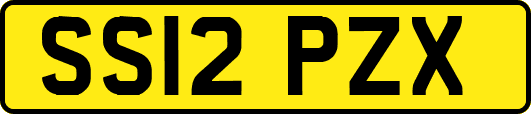 SS12PZX