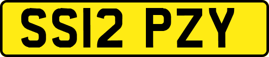 SS12PZY