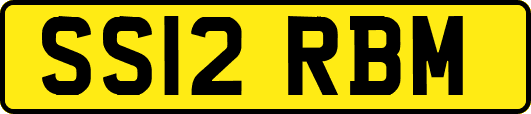 SS12RBM