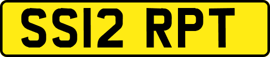 SS12RPT
