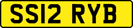 SS12RYB