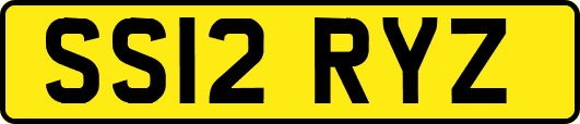 SS12RYZ