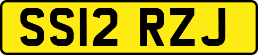 SS12RZJ