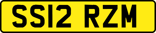 SS12RZM