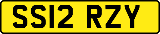 SS12RZY