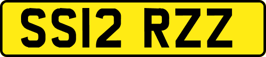 SS12RZZ